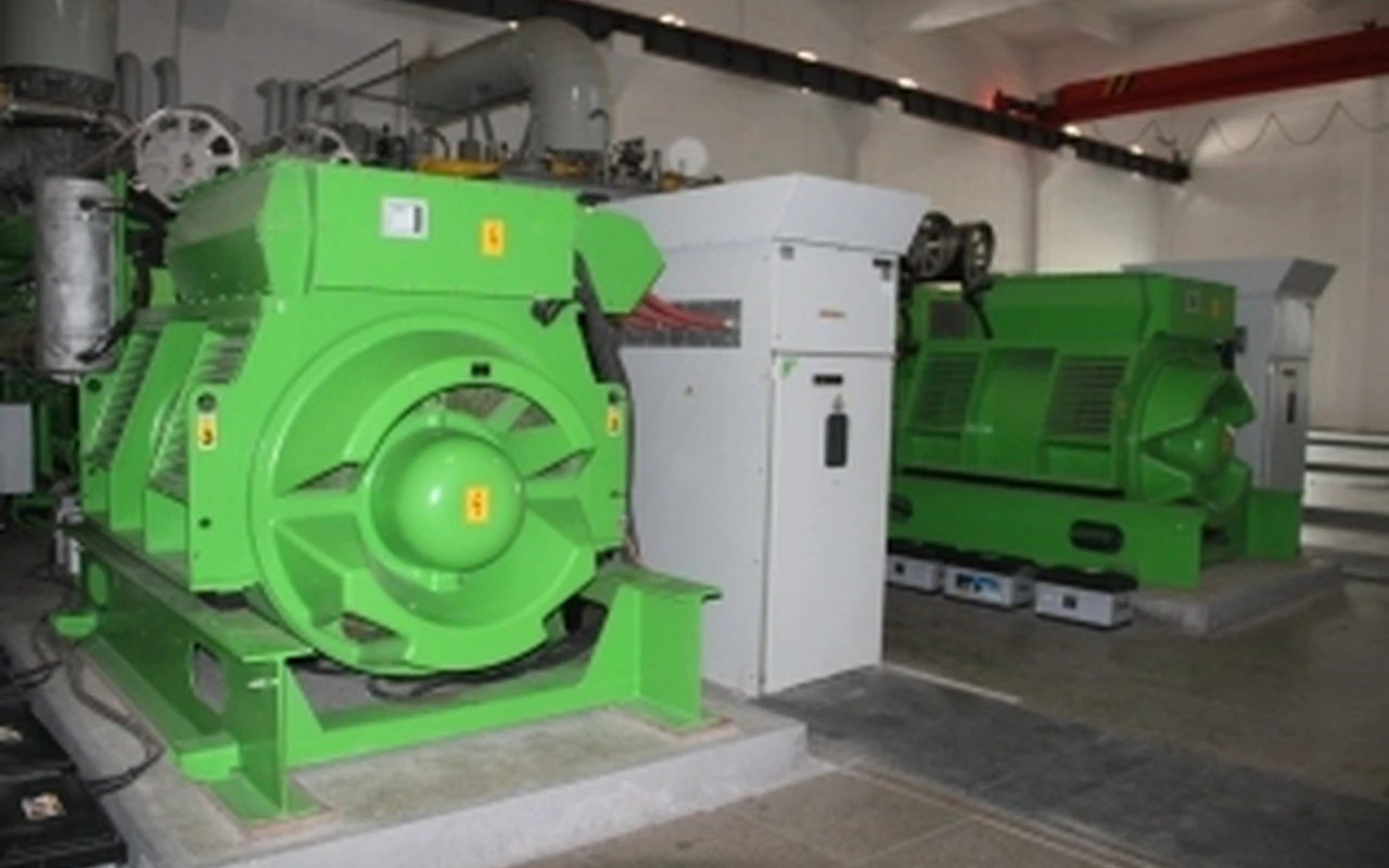 Shandong Lemon industrial wastewater biogas project